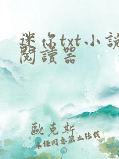迷你txt小说阅读器
