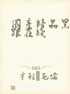 国产精品黑丝高跟在线