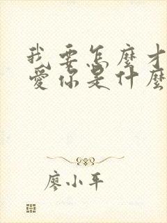 我要怎么才能不爱你是什么歌