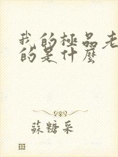 我的极品老婆讲的是什么
