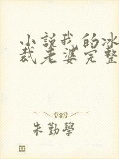 小说我的冰山总裁老婆完整版