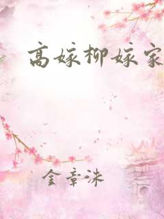 高嫁柳嫁家2集
