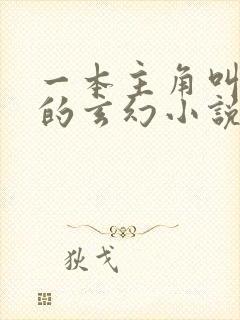 一本主角叫林立的玄幻小说