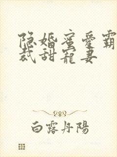 隐婚蜜爱霸道总裁甜宠妻