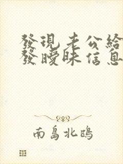 发现老公给别人发暧昧信息怎么办