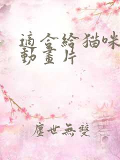 适合给猫咪看的动画片