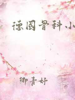 德国骨科小说
