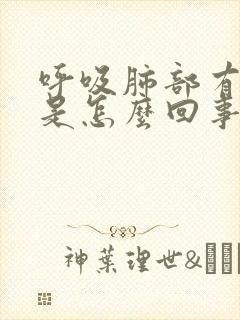呼吸肺部有声音是怎么回事