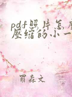 pdf照片怎么压缩的小一点