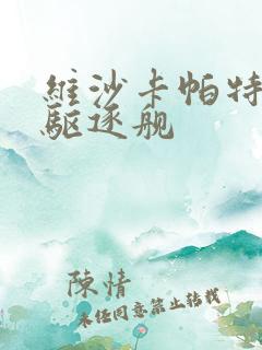 维沙卡帕特南级驱逐舰