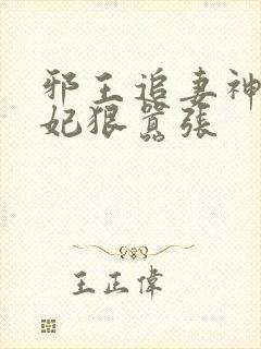 邪王追妻神医狂妃狠嚣张