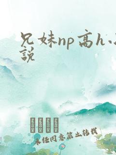 兄妹np高h小说