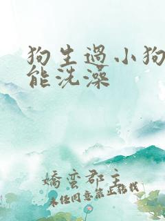 狗生过小狗多久能洗澡
