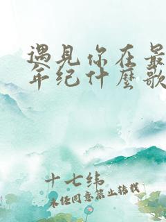 遇见你在最好的年纪什么歌