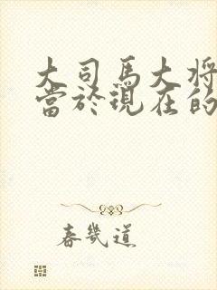 大司马大将军相当于现在的什么官