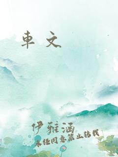 车 文