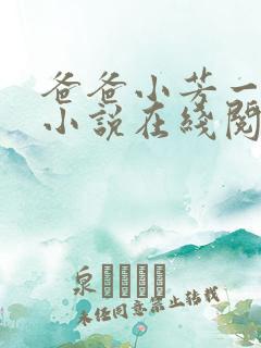 爸爸小芳一家亲小说在线阅读