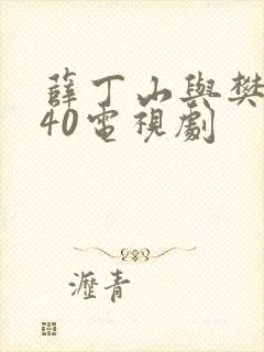 薛丁山与樊梨花40电视剧