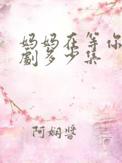 妈妈在等你电视剧多少集