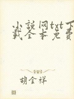 小说网txt下载全本免费下载