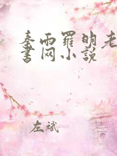 秦雨罗明老旺追书网小说