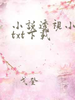 小说透视小村医txt下载