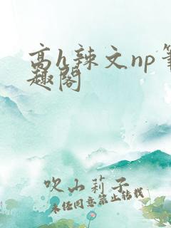 高h辣文np笔趣阁