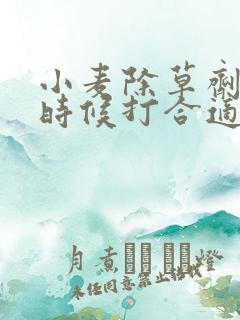 小麦除草剂什么时候打合适