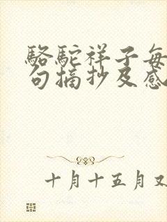 骆驼祥子每章好句摘抄及感悟
