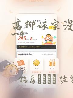 高柳嫁家漫画1~4