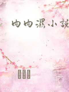 肉肉湿小说