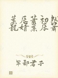 叶辰萧初然上门龙婿叶辰萧初然