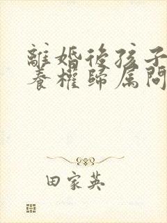 离婚后孩子的抚养权归属问题