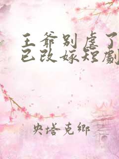 王爷别虐了王妃已改嫁短剧免费观看