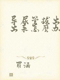 导尿管拔出尿不出来怎么办