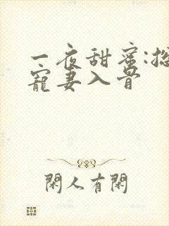 一夜甜蜜:总裁宠妻入骨