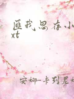 匪我思存小说txt