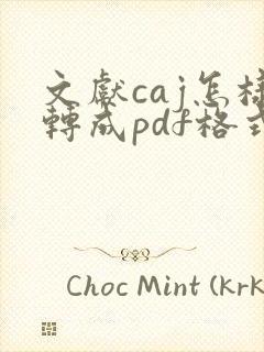 文献caj怎样转成pdf格式