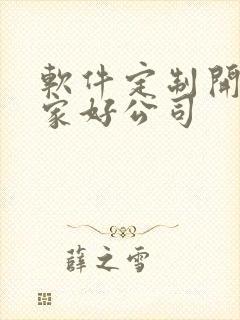 软件定制开发哪家好公司