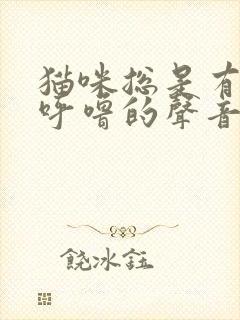 猫咪总是有呼噜呼噜的声音