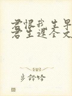 君恨我生早我恨君生迟全文