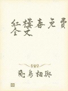 红楼春免费阅读全文
