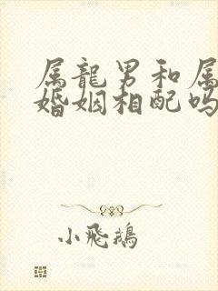 属龙男和属虎女婚姻相配吗