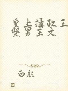 皇上摄政王小说双男主文