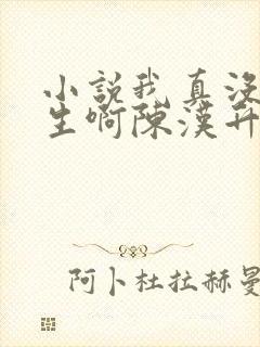 小说我真没想重生啊陈汉升