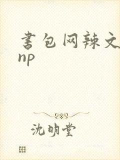 书包网辣文调教np