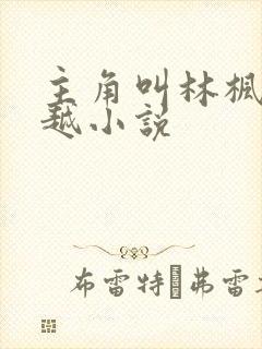 主角叫林枫的穿越小说