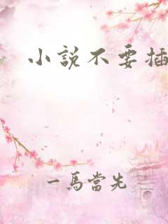 小说不要插进来