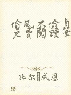 偷风不偷月小说免费阅读笔趣阁