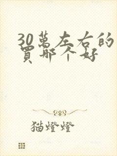 30万左右的车买哪个好